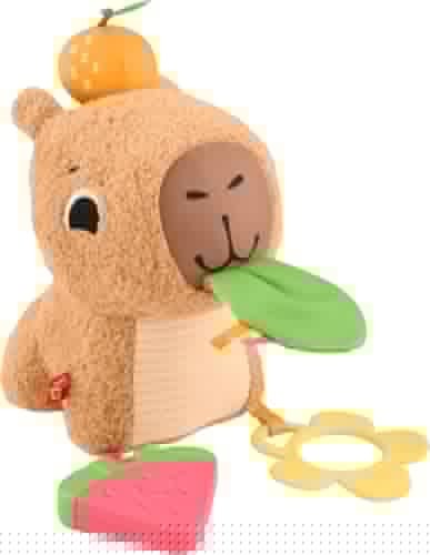 Fisher-Price Snuggly Snack Capybara Baby Toy | Sensory Development, Fine…